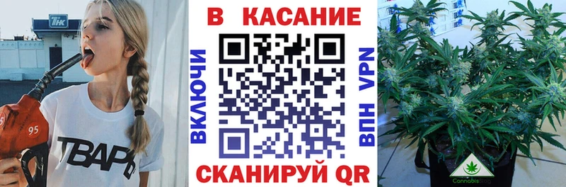 Где купить Чишмы Гашиш  Бутират  Псилоцибиновые грибы  Меф мяу мяу  Кокаин  A-PVP  Марихуана 