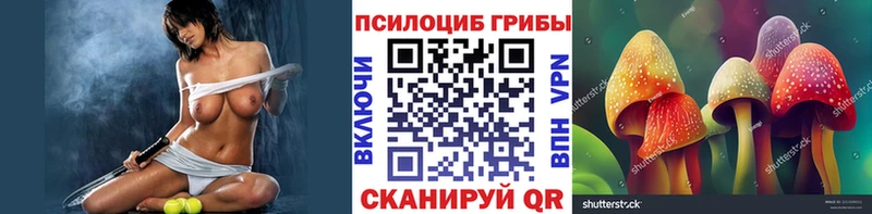 что такое   Чишмы  Галлюциногенные грибы мицелий 